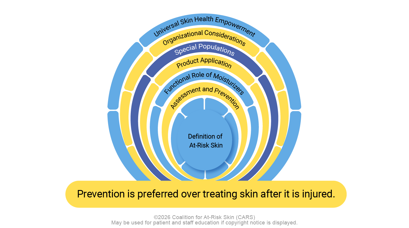 The CARS framework: seven categories radiating from the definition of at-risk skin, with the principle that prevention is preferred over treating skin after it is injured